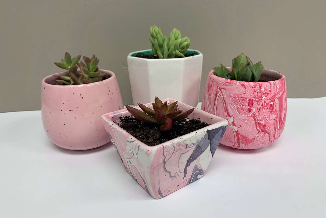 three pots in various shades of pink and white, each with a succulent in it